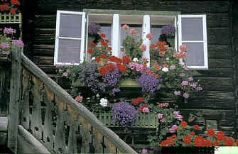 (c) www.terraslide.com