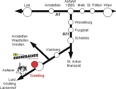 Verkehrsspinne